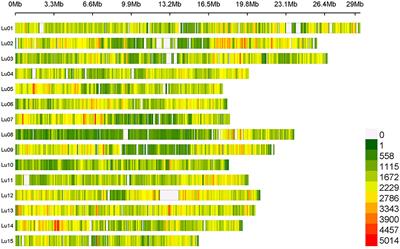 Genetic Architecture of Powdery Mildew Resistance Revealed by a Genome-Wide Association Study of a Worldwide Collection of Flax (Linum usitatissimum L.)